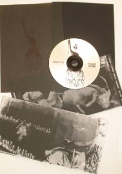 Gnaw Their Tongues : Devotion